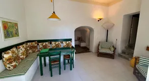 Garden View Traditional House - Image 3