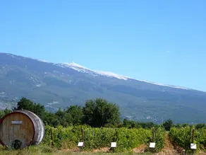 Holiday Home in Provence near Mont Ventoux - Image 5