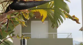 Kamares Apts - Cozy Maisonette - Image 4
