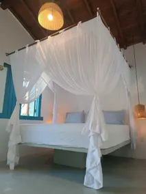 Flor de Biriba Trancoso - Image 2