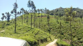 Forest View Homestay ,Your 2nd home away from City - Image 5