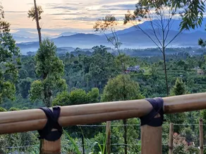 AVO CAMP - Image 4