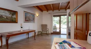 Pettirosso - Image 3