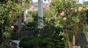 Casa da Aldeia da Avó - Image 5