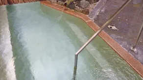 Reisenji Onsen Nakaya Ryokan (Nagano) - Image 3