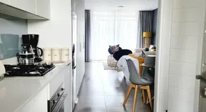 Sugar Shores - Studio Apartment - Image 3
