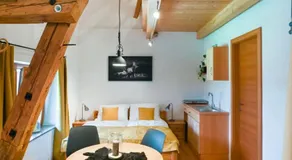 Loftartige Wohnung in Scheibbs mit Schwimmteich - Image 2