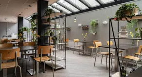 Boutique Suites Lisse - Keukenhof - Image 3