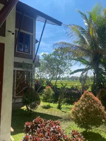 A cozy residence for an extended family in a peaceful rice field setting - Image 5