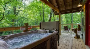 Owls Nest, Hot Tub, WIFI, Featured on Barnwood Builders, Free Attraction Tickets!!! - Image 2