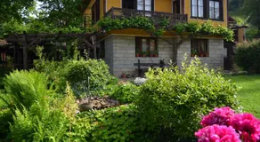Dona Guest House - Horse Riding - Image 2