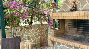Golden Island - Image 2