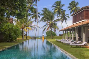 The Frangipani Tree by Edwards Collection - Thalpe - Image 4
