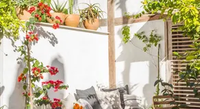 Casa Lola - Image 5