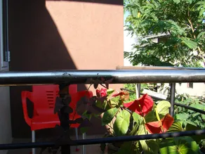 Mini's Residence - Image 5