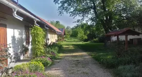 Rigófütty Vendégház - Image 4