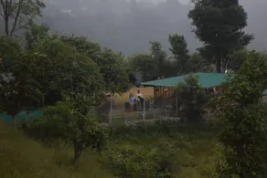 Greenlust Camps & Resorts - Image 3