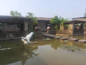 Hengyang Yanyuan Homestay - Image 3