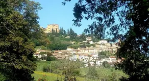 la cana dolce - Image 4