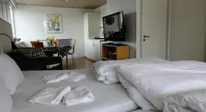 2 rooms, private kitchen, bathroom, and garden. - Image 2