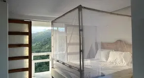 El Templo- Jungle Mirador - Image 2