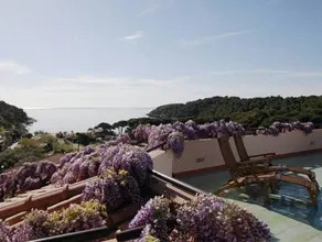 Hotel Galli - Wellness & Spa - Parcheggio gratuito - Image 3