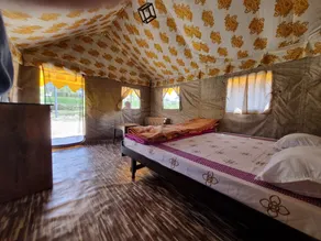 Tree Bones Camp - Image 2