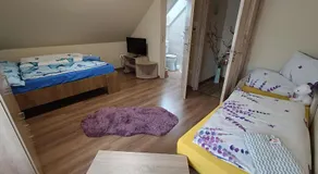Holt-Tisza Vendégház - Image 2