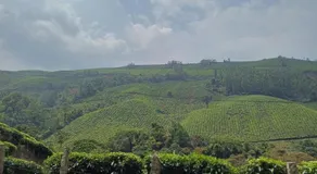Apple Valley - Image 2