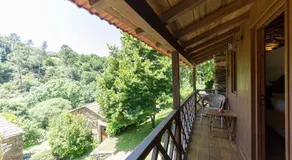 Quinta da Rabaçosa - Rural Retreat - Image 3