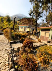 Peace Forest Retreat - Image 3