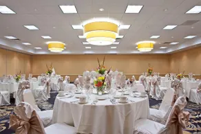 Grand Royal Hotel O'Hare Chicago - Image 3