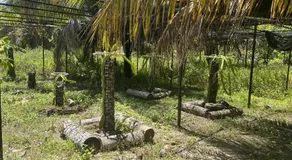 Motu ATAHIRI Camping - Image 3
