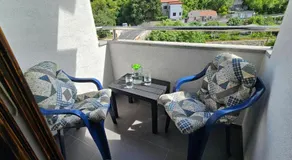 Pansion 8 ferala - Image 3