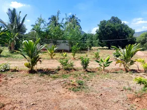 GO2 Village Homestay - Image 2
