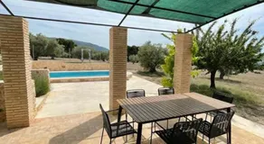Casita rural entre olivos - Image 3