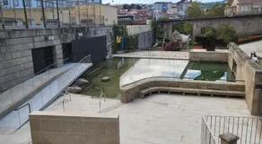 Décimo Vera - Image 4