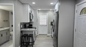 The Silver Spot - Image 3