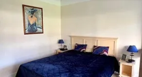 Blue Palm - Image 2