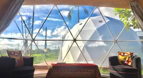 Yellow House - Image 2