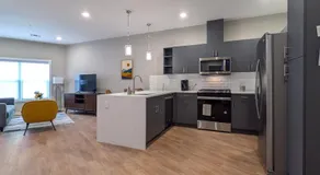 315 Brand New 1 Bedroom 1 Bath 1 Full Kit 1 Liv - Image 4