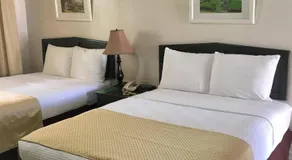 The Royal Hotel - Image 2