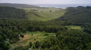 Ocean View Off-Grid Cabin Secluded in Nature - Govind - Image 4