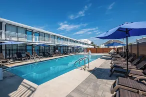 The Surf Club - Image 4