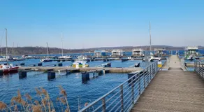 Ferienwohnung Zur Forelle direkt am Geiseltalsee Mücheln - Image 4
