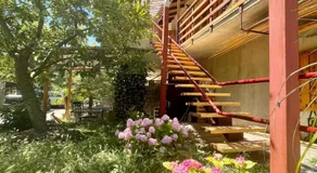 Apartment Olive Grove - Image 4