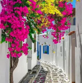 Melina's House Mykonos Town - Image 5
