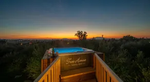 Zante Lagos holiday homes Treehouse and Villa - Image 2