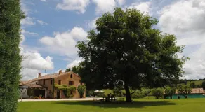 Podere Del Fagiano - Image 4