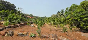 Ketki Aamrai Resort - Image 3